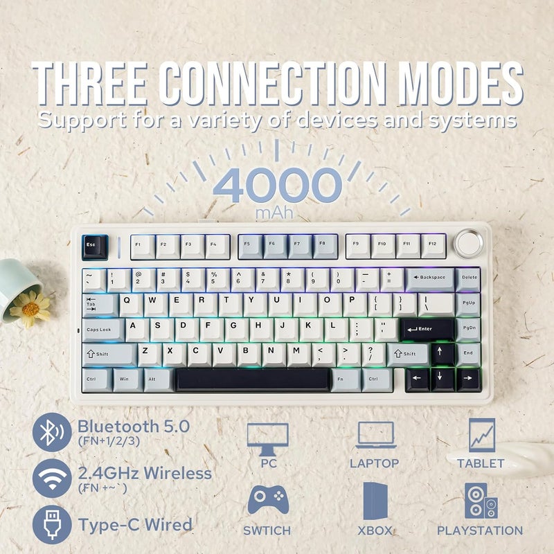 EPOMAKER x Aula F75 Gasket Mechanical Keyboard, 75% Wireless Hot Swappable Gaming Keyboard with Five-Layer Padding&Knob, BT/2.4GHz/USB-C, RGB (Light Blue, Crescent Switch) - Image 3